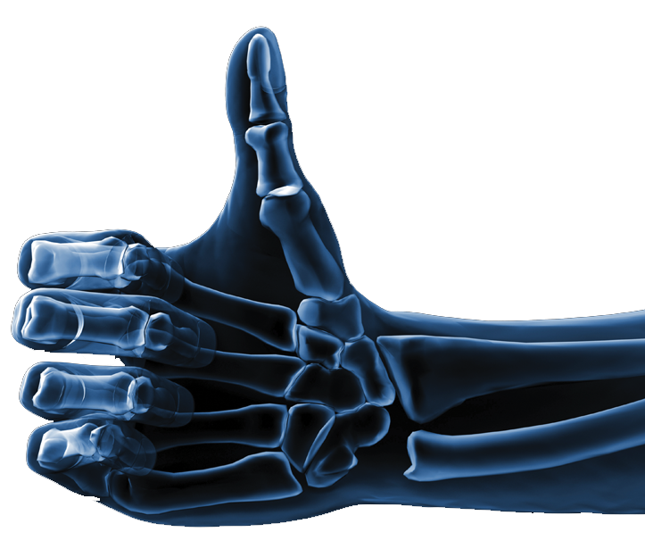Illustration of a thumbs up x-ray